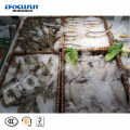 Hot-Sale Seawater Marine Use 0.5 Ton Flake Ice Making Machine with High Quality